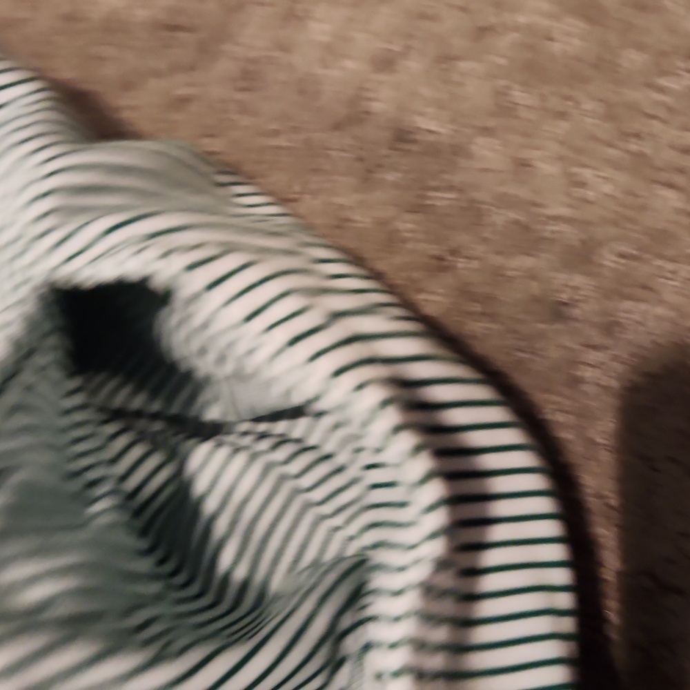 NEW Lake 100% Pima Cotton From Peru. Striped Green Women's Robe XL. $138 - Picture 7 of 8